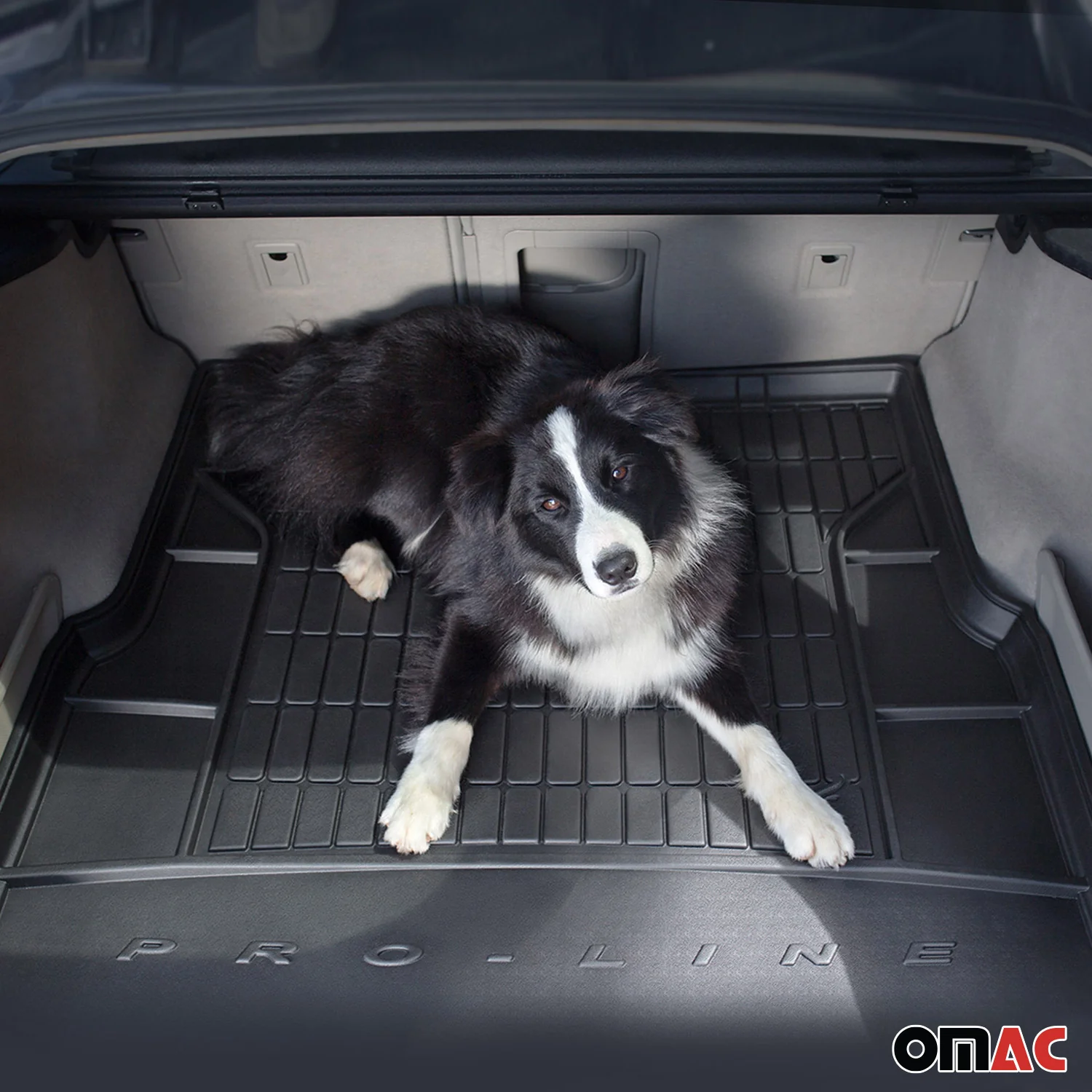 Tapis de Coffre pour Fiat Freemont 2011-2015 Noir TPE - Image 2